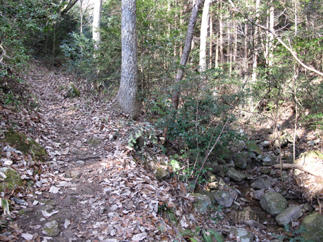 20140103hike (19)